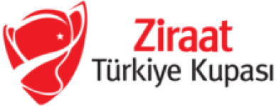 home logo